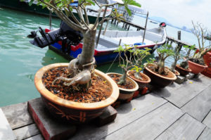 世界遺産のひとつ、周氏の桟橋(Chew Jetty)