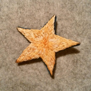 embroidery　星　手刺繍　star